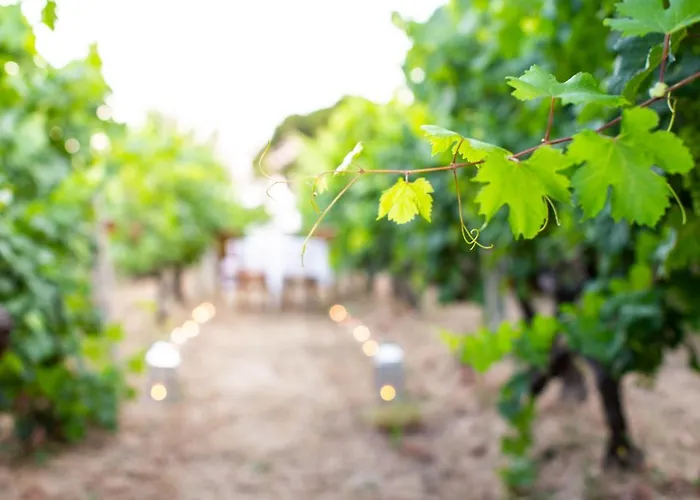 Poggio Dei GorleriAgriturismo